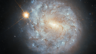 Deep Dive: Building 'alphabetizi.ng'