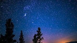 Custom GitHub Action workflows with projen